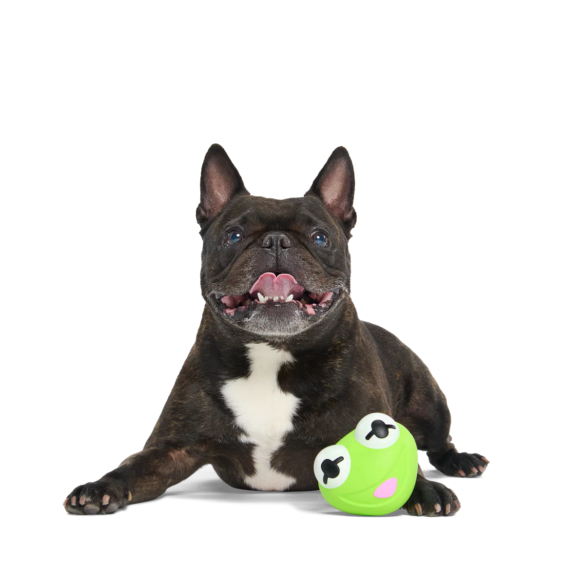 Kermit the Frog as “Bouncing Bob Catch-It" Durable Super Chewer Fetch Dog Toy - Image 2