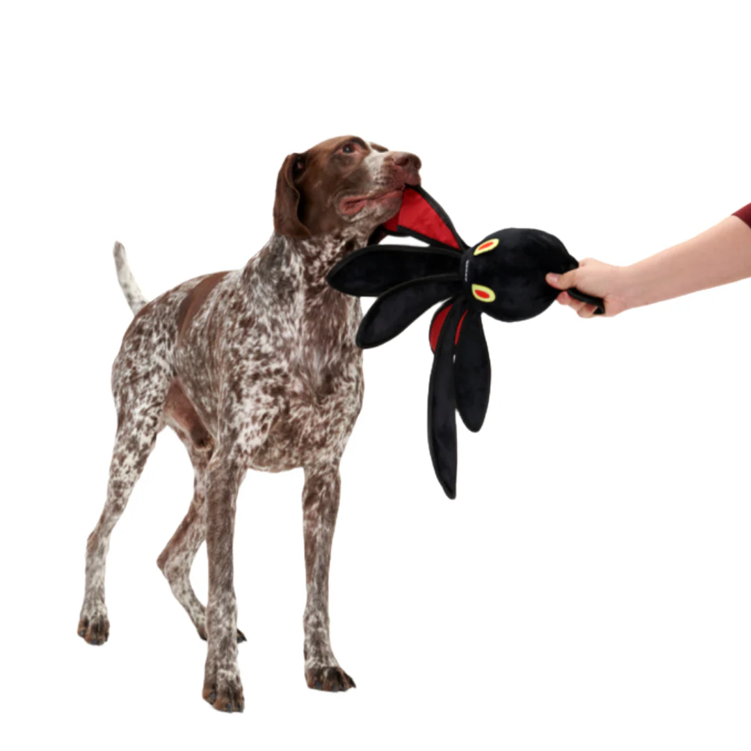 Kevin Kraken Plush Tug + XXL Dog Toy - Image 4