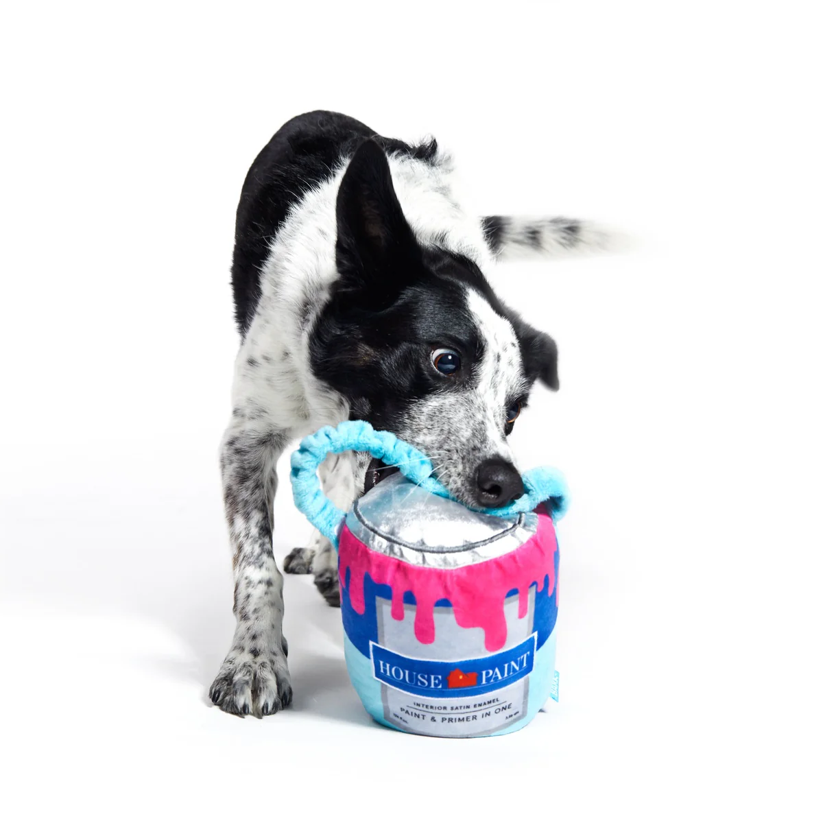 Kevin's Paint Can Plush Tug Dog Toy - Image 4
