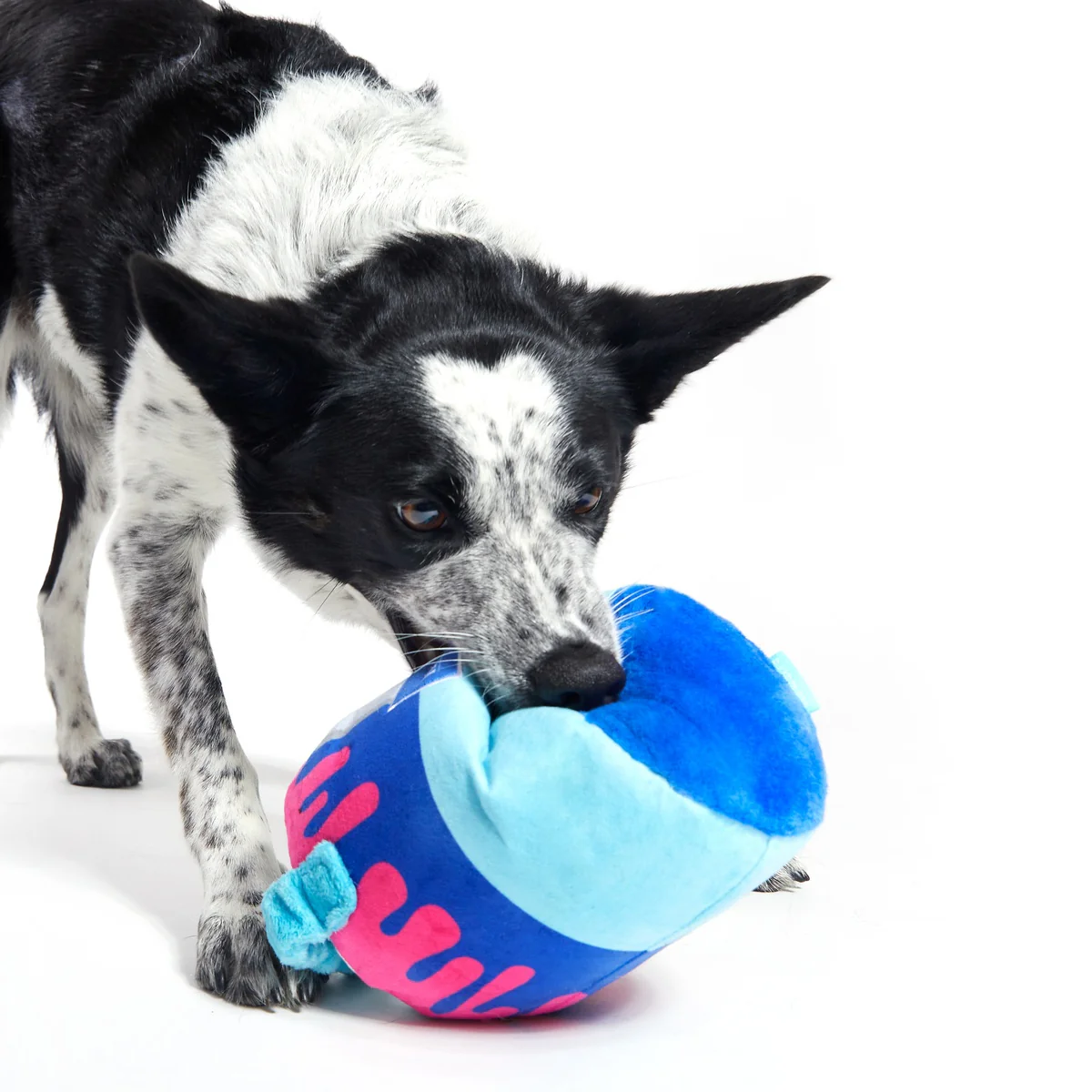Kevin's Paint Can Plush Tug Dog Toy - Image 8