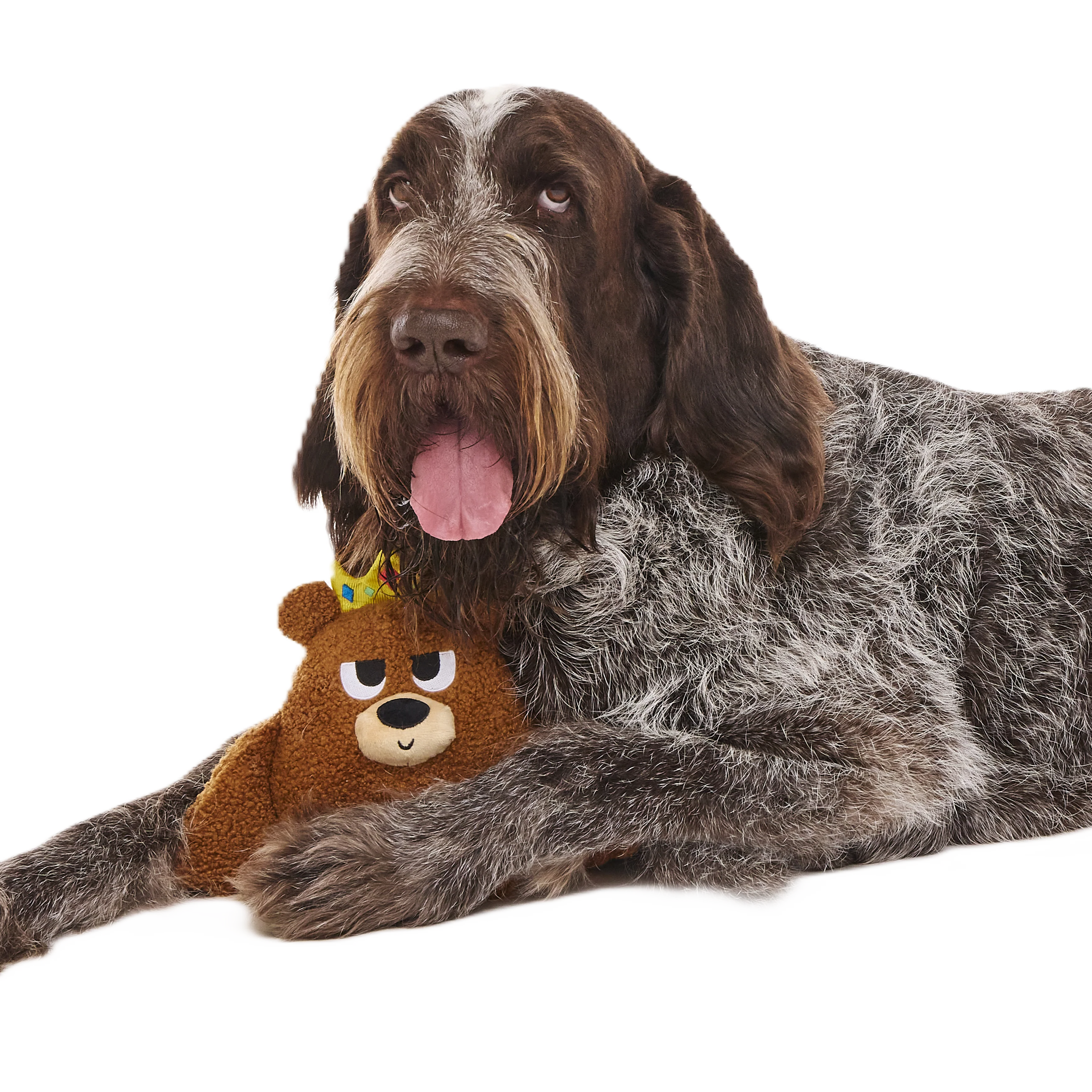 King Bearthur Plush Tug Dog Toy - Image 2