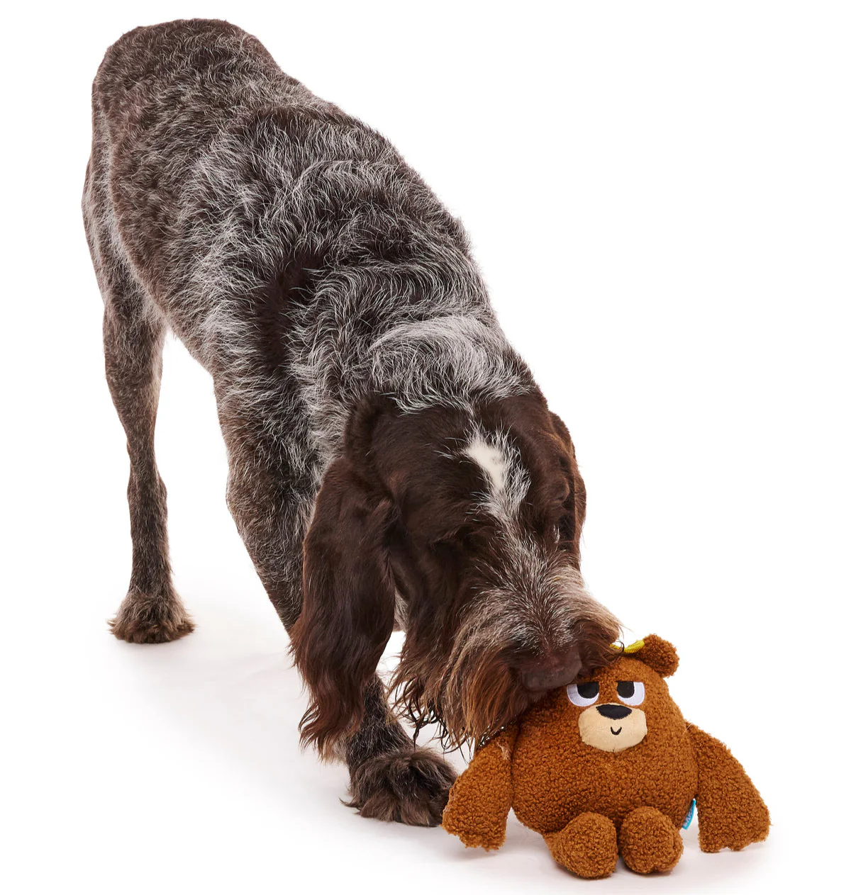 King Bearthur Plush Tug Dog Toy - Image 3