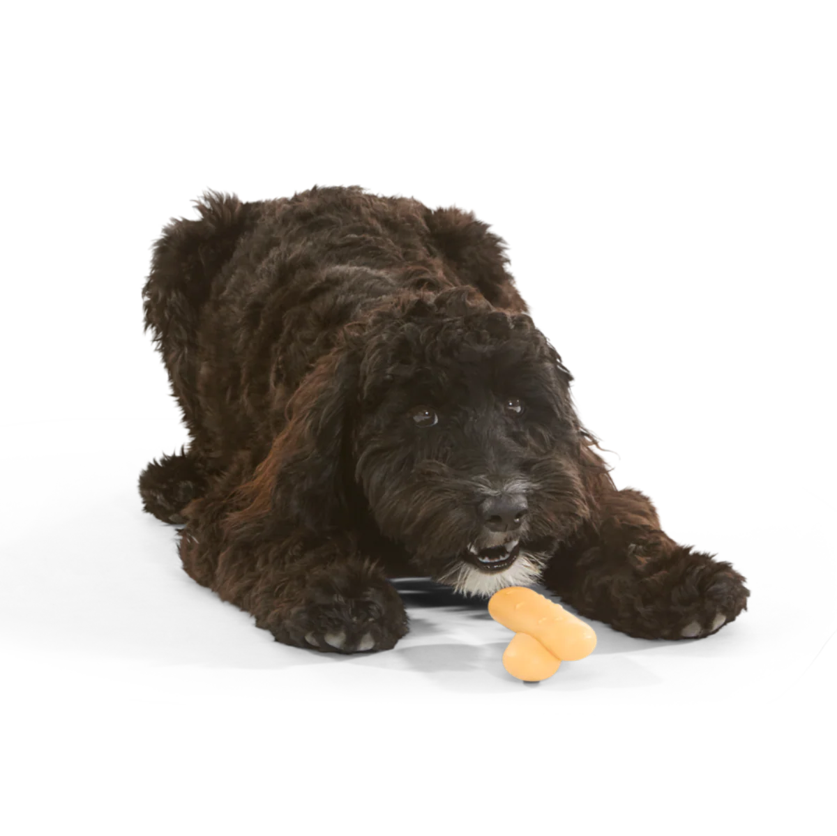 Lady Fingrrrs Durable Super Chewer Gnaw + Enrichment Dog Toy - Image 2
