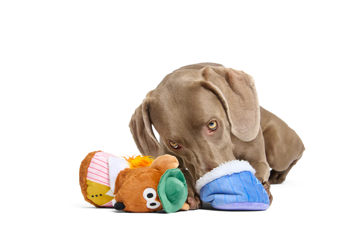 Lamplighter Rizzo the Rat Plush Multi-Part Dog Toy - Image 5