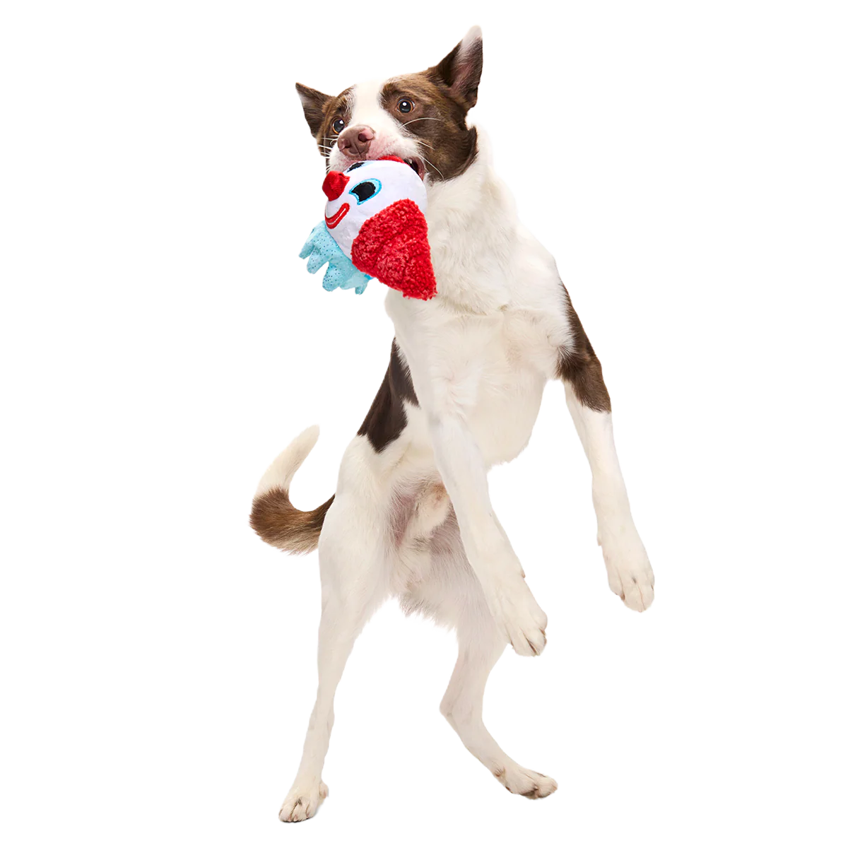 Last Laugh Bundle Plush Multi-Part Dog Toy - Image 4