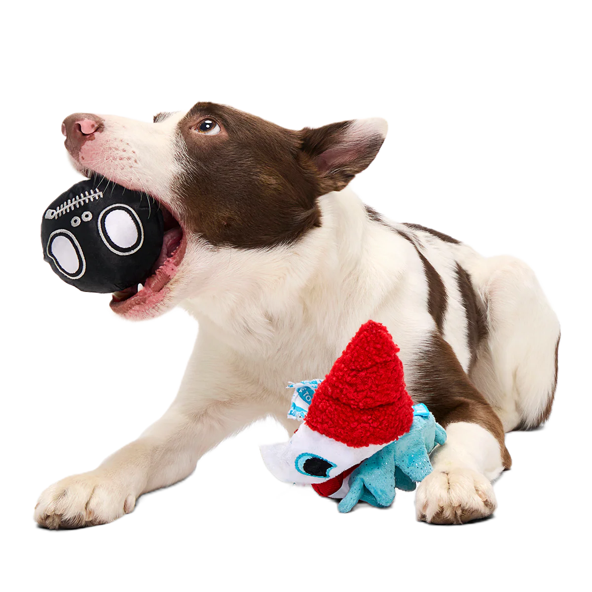 Last Laugh Bundle Plush Multi-Part Dog Toy - Image 5