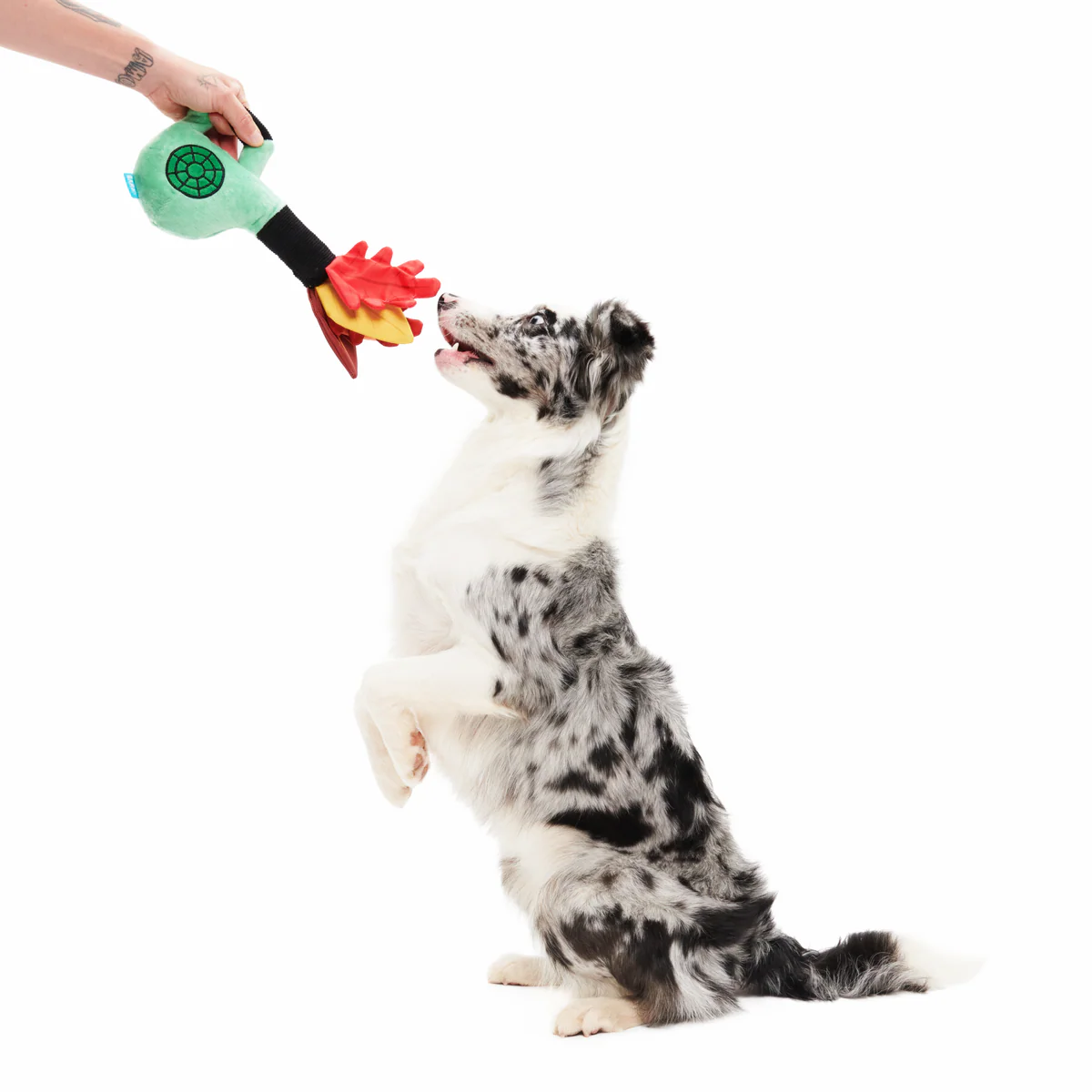 Leaf Blow-Wower Plush Tug Dog Toy - Image 3