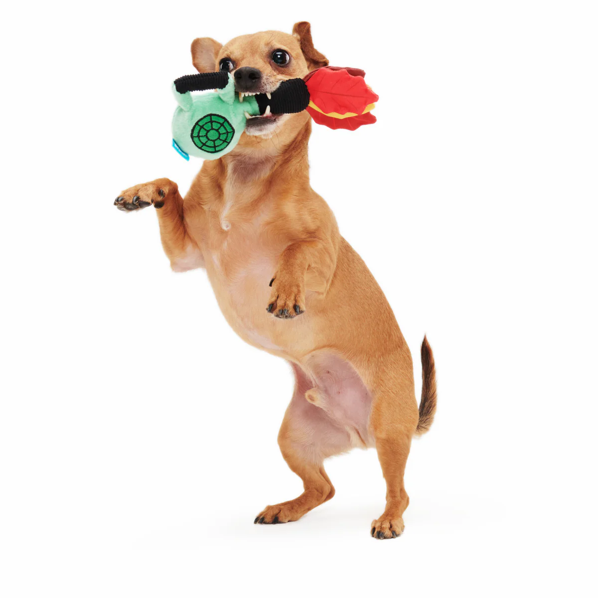 Leaf Blow-Wower Plush Tug Dog Toy - Image 4
