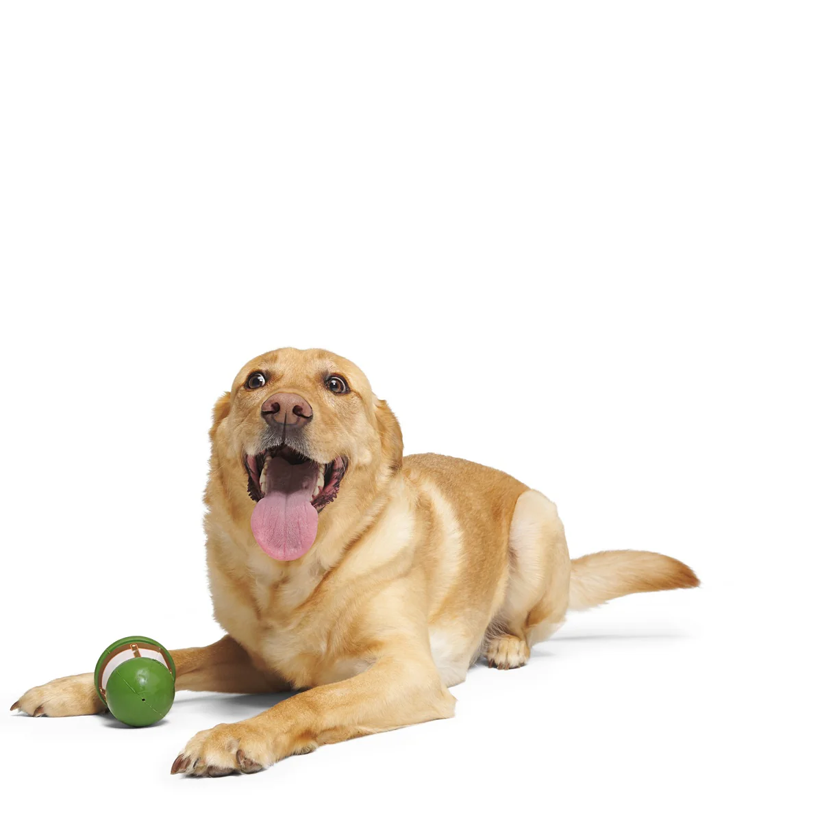 Leder Buddy Super Chewer Durable Dog Toy - Image 4