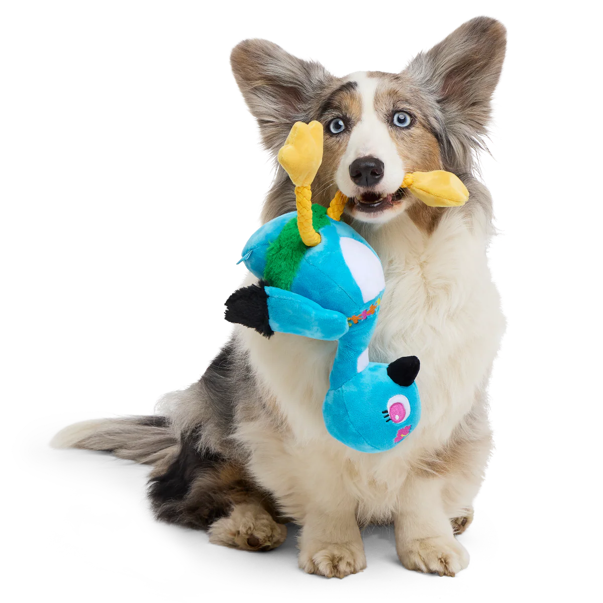 Lele the Nene Goose Plush Tug + Extra-Large Dog Toy - Image 3