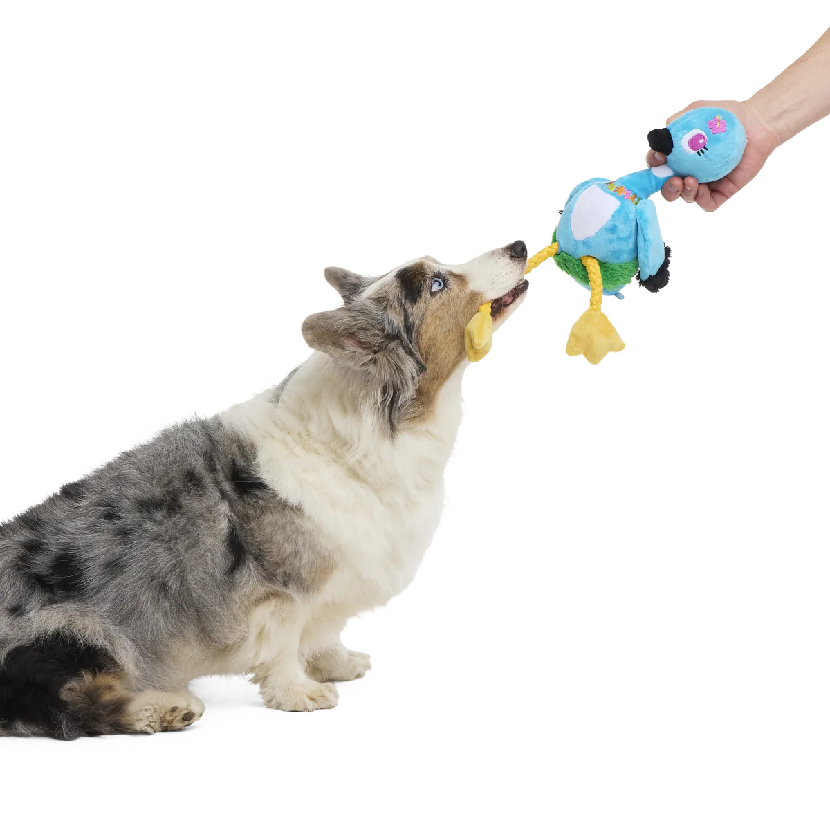 Lele the Nene Goose Plush Tug + Extra-Large Dog Toy - Image 4