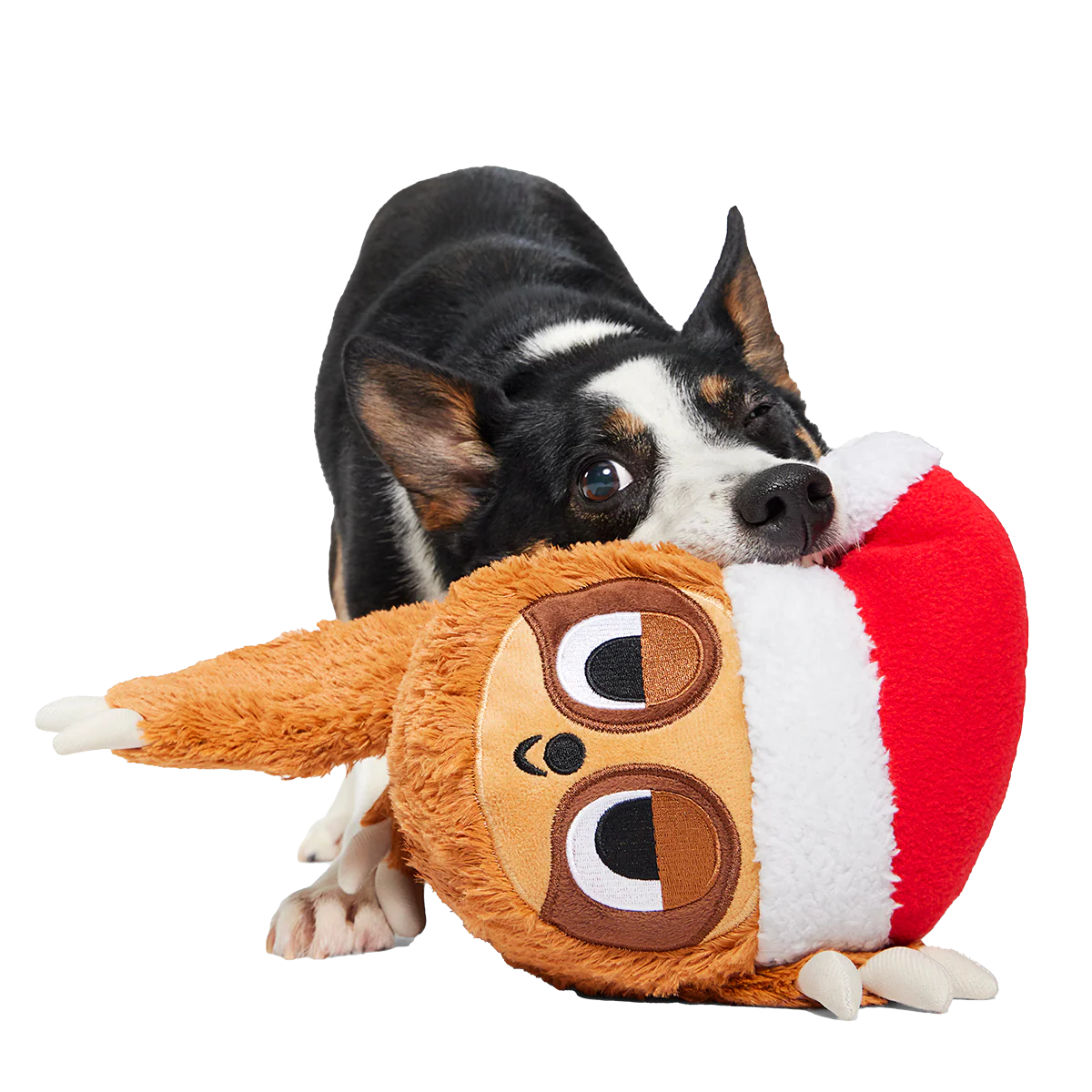 Let It Slow Plush Extra-Large Tug Dog Toy - Image 2