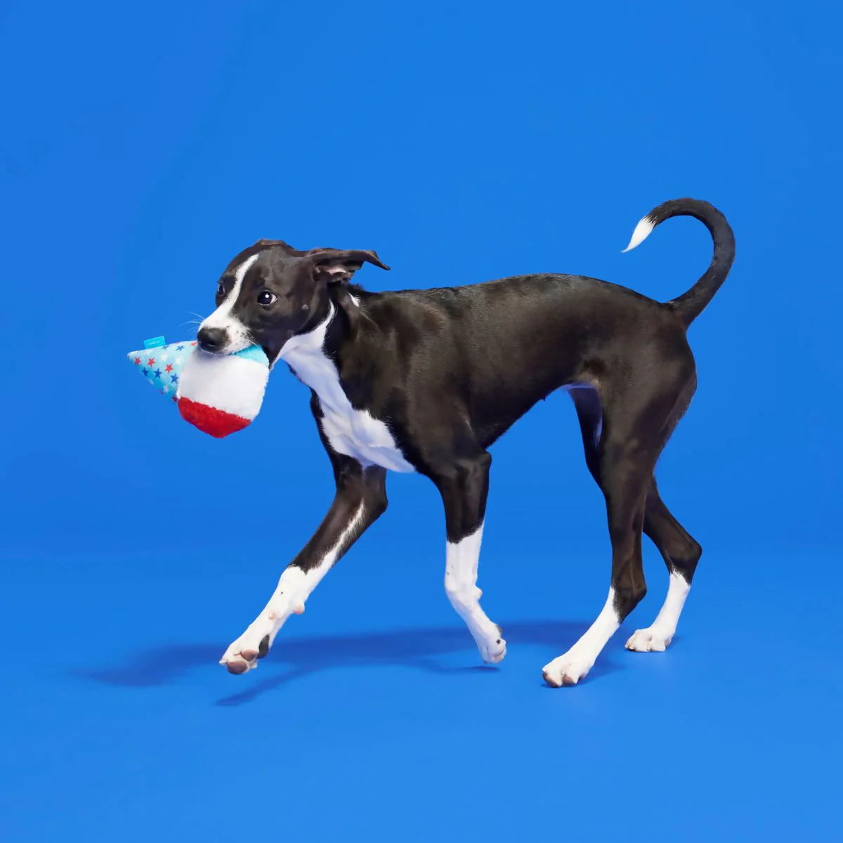 Liberty Cone Plush Fetch Dog Toy - Image 3