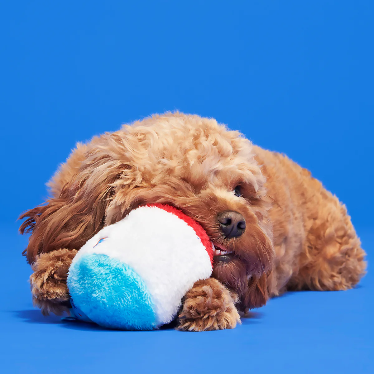 Liberty Cone Plush Fetch Dog Toy - Image 4