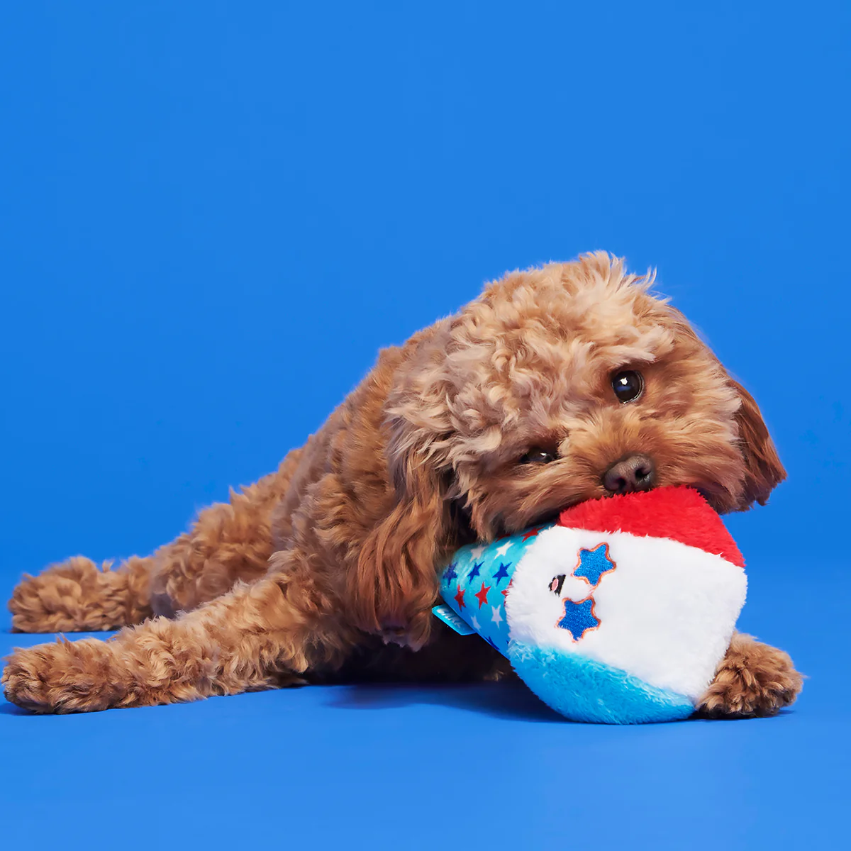 Liberty Cone Plush Fetch Dog Toy - Image 5