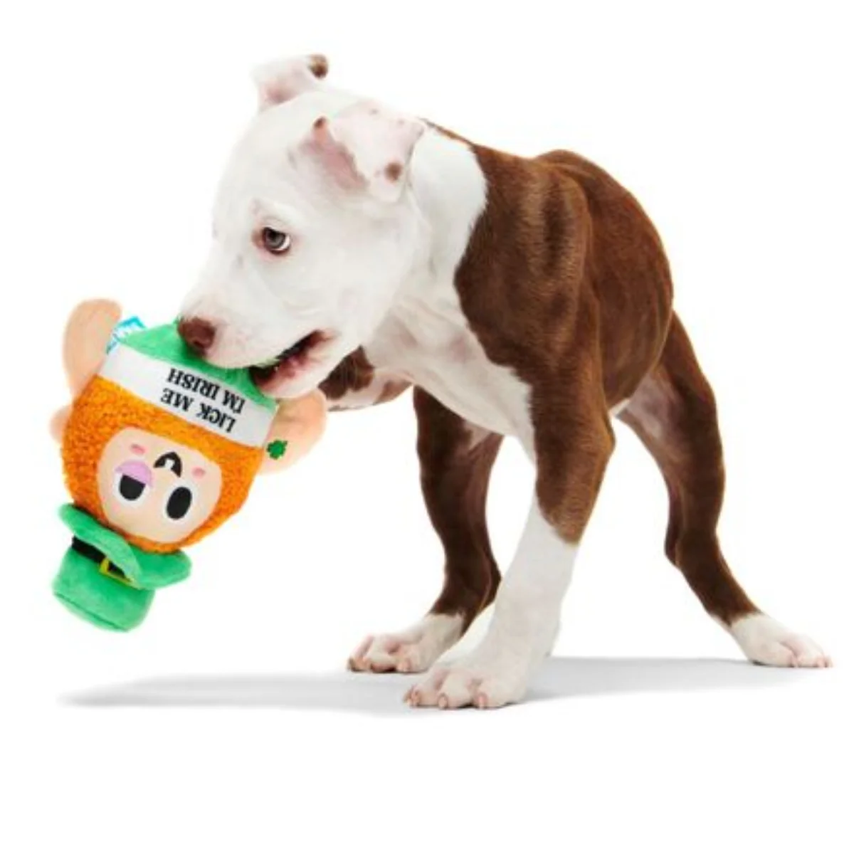Lick Me Leprechaun Plush 2-in-1 Rip and Reveal + Gnaw Dog Toy - Image 4