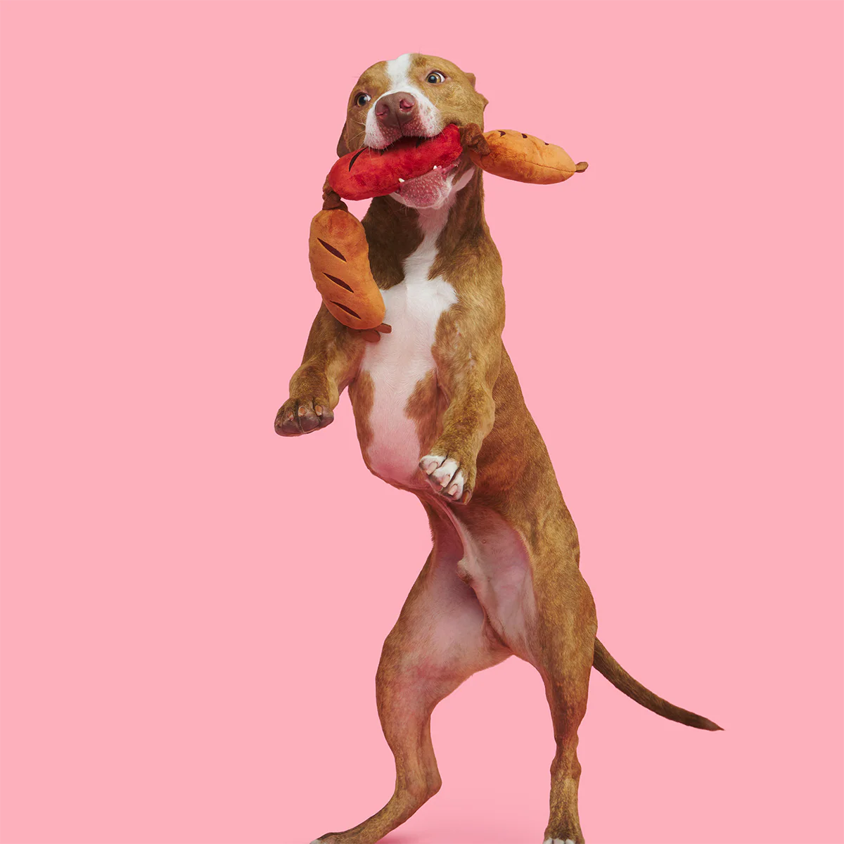 Lickin’ Links Plush Tug Dog Toy - Image 4