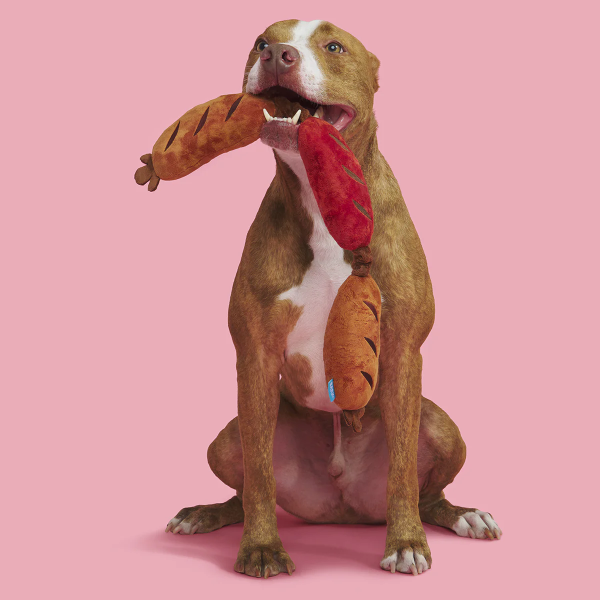 Lickin’ Links Plush Tug Dog Toy - Image 5