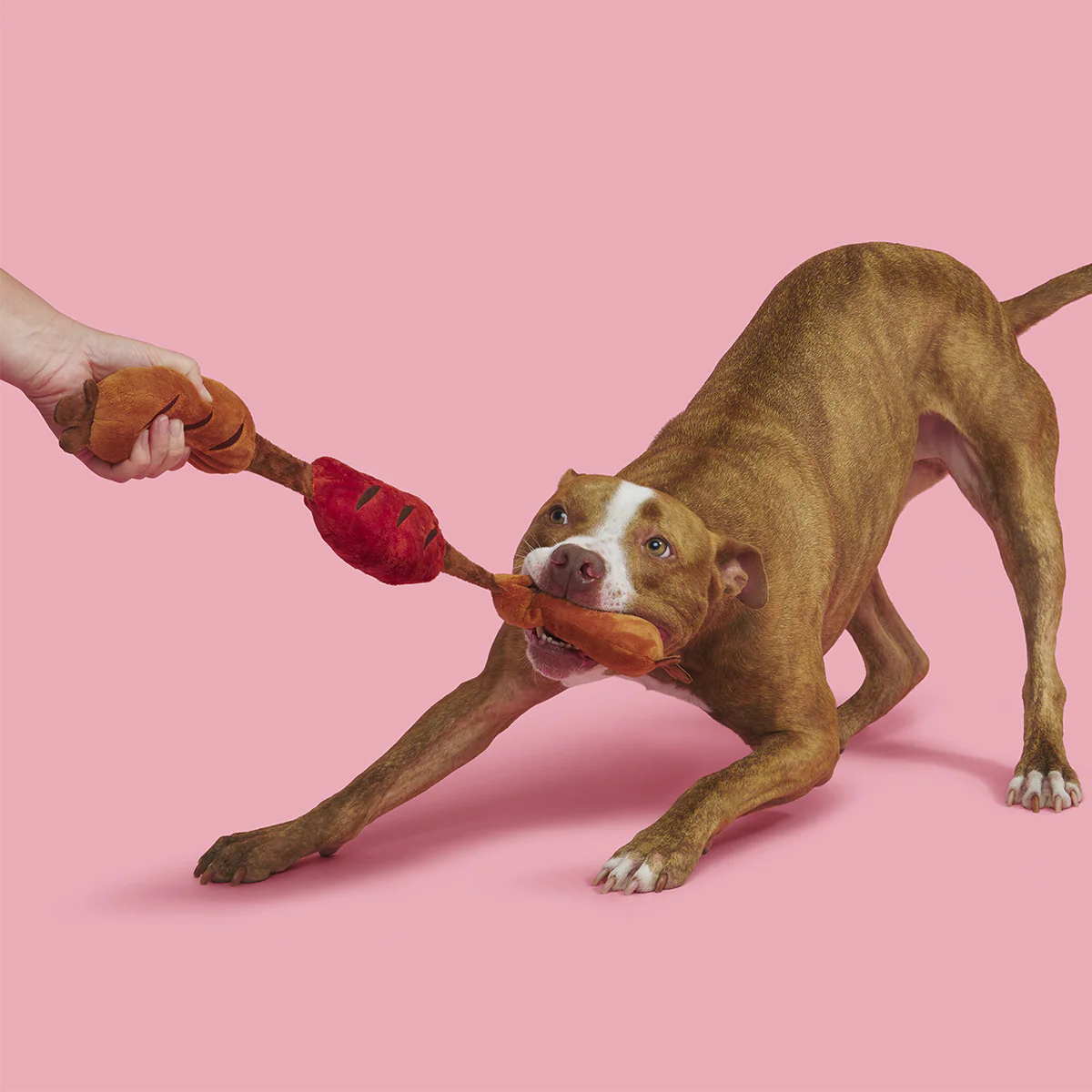 Lickin’ Links Plush Tug Dog Toy - Image 6
