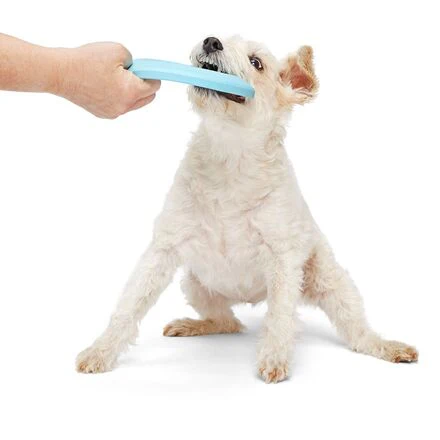 Liftoff Durable Super Chewer Fetch Dog Toy - Image 4