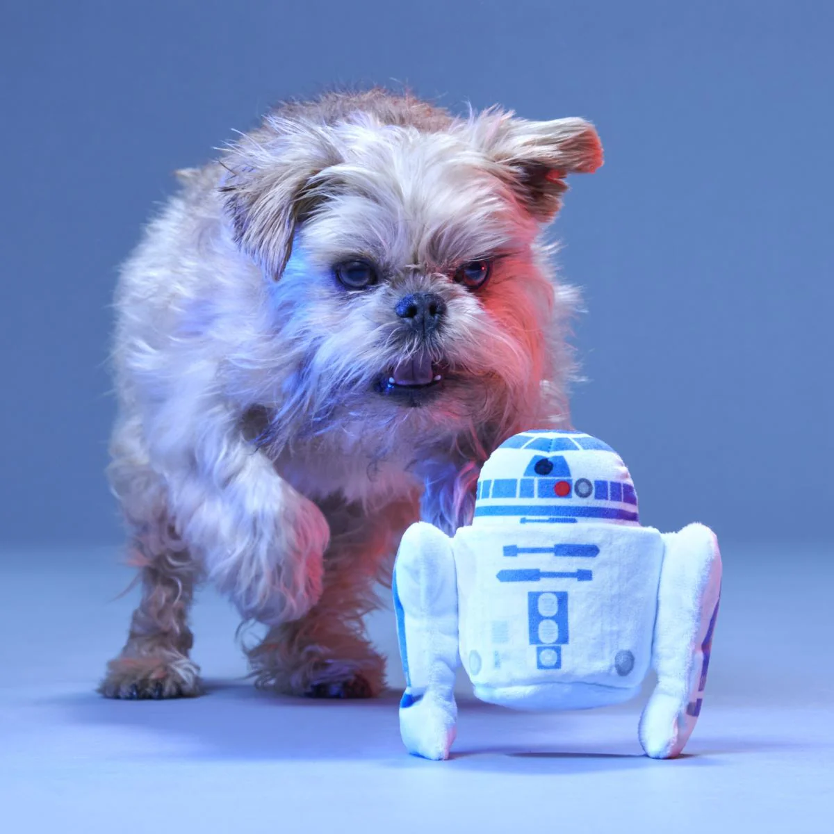 Light Side Star Wars™ Plush Bundle 2-in-1 + Tug Dog Toy - Image 5