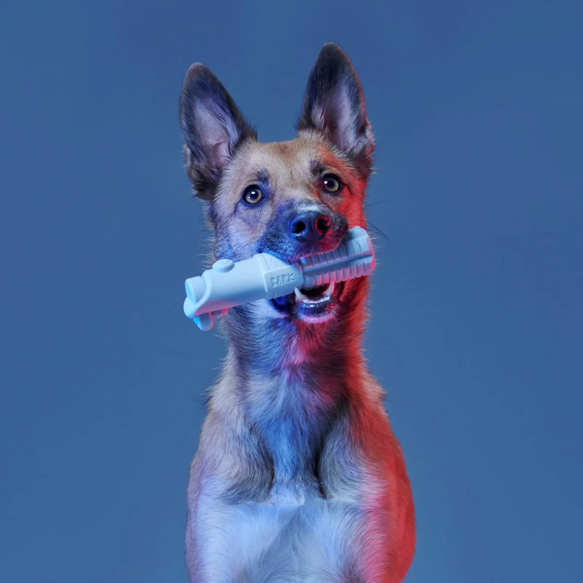 Light Side Star Wars™ Super Chewer Durable Bundle Fetch + Gnaw Dog Toy - Image 3