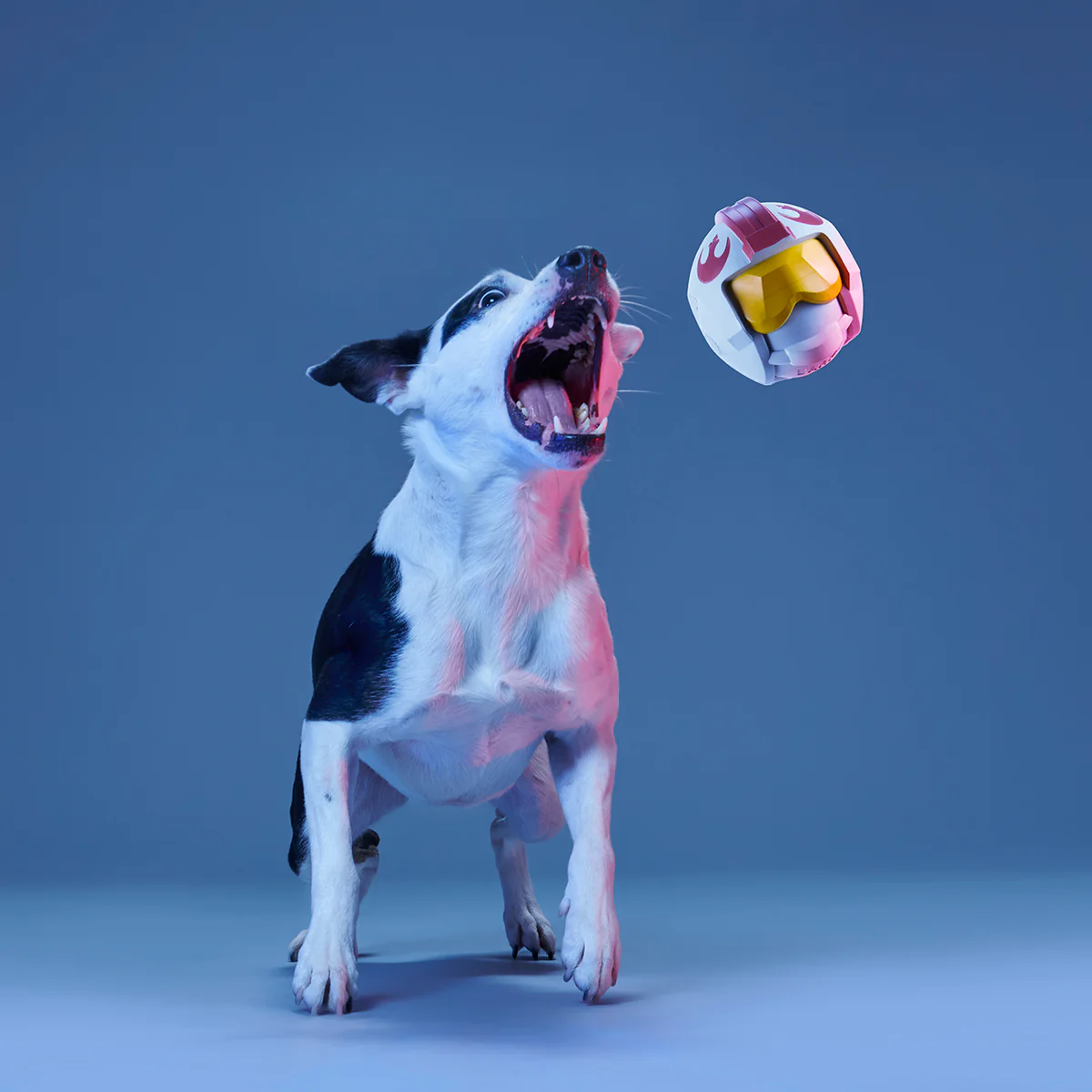 Fetch My Rebel Helmet Super Chewer Durable Fetch Dog Toy - Image 4