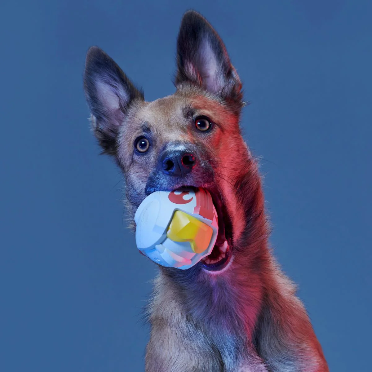 Light Side Star Wars™ Super Chewer Durable Bundle Fetch + Gnaw Dog Toy - Image 5