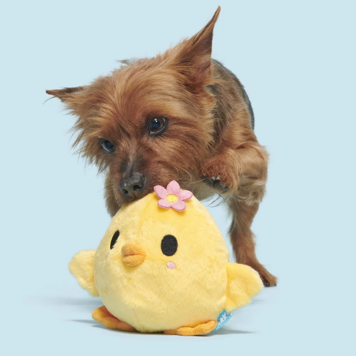 Lil' Hennifer Plush Fetch Dog Toy - Image 4