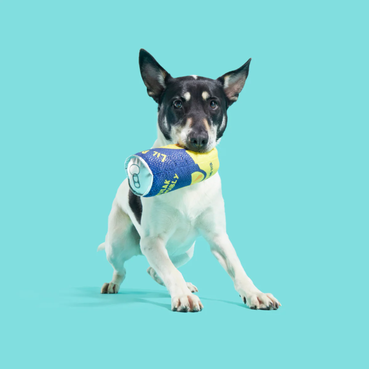 Lil' Pucker's Plush Dog Toy - Image 2