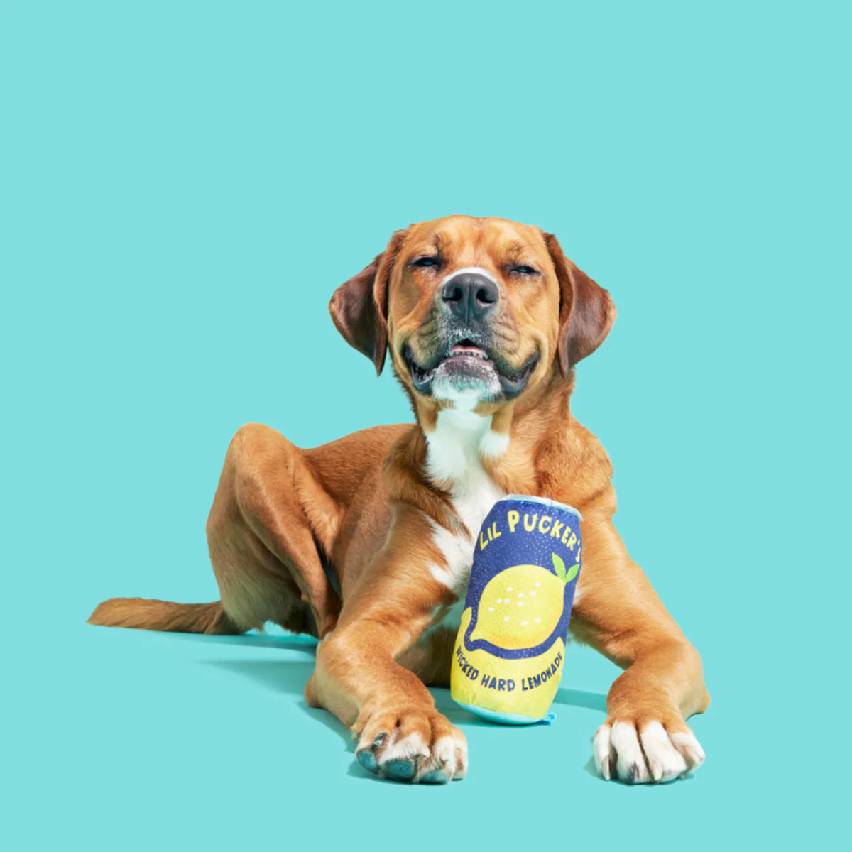 Lil' Pucker's Plush Dog Toy - Image 3