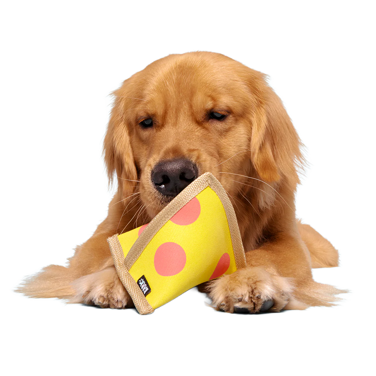 Lil Squeaker's Pizza Super Chewer Durable 2-in-1 Fetch Dog Toy - Image 3