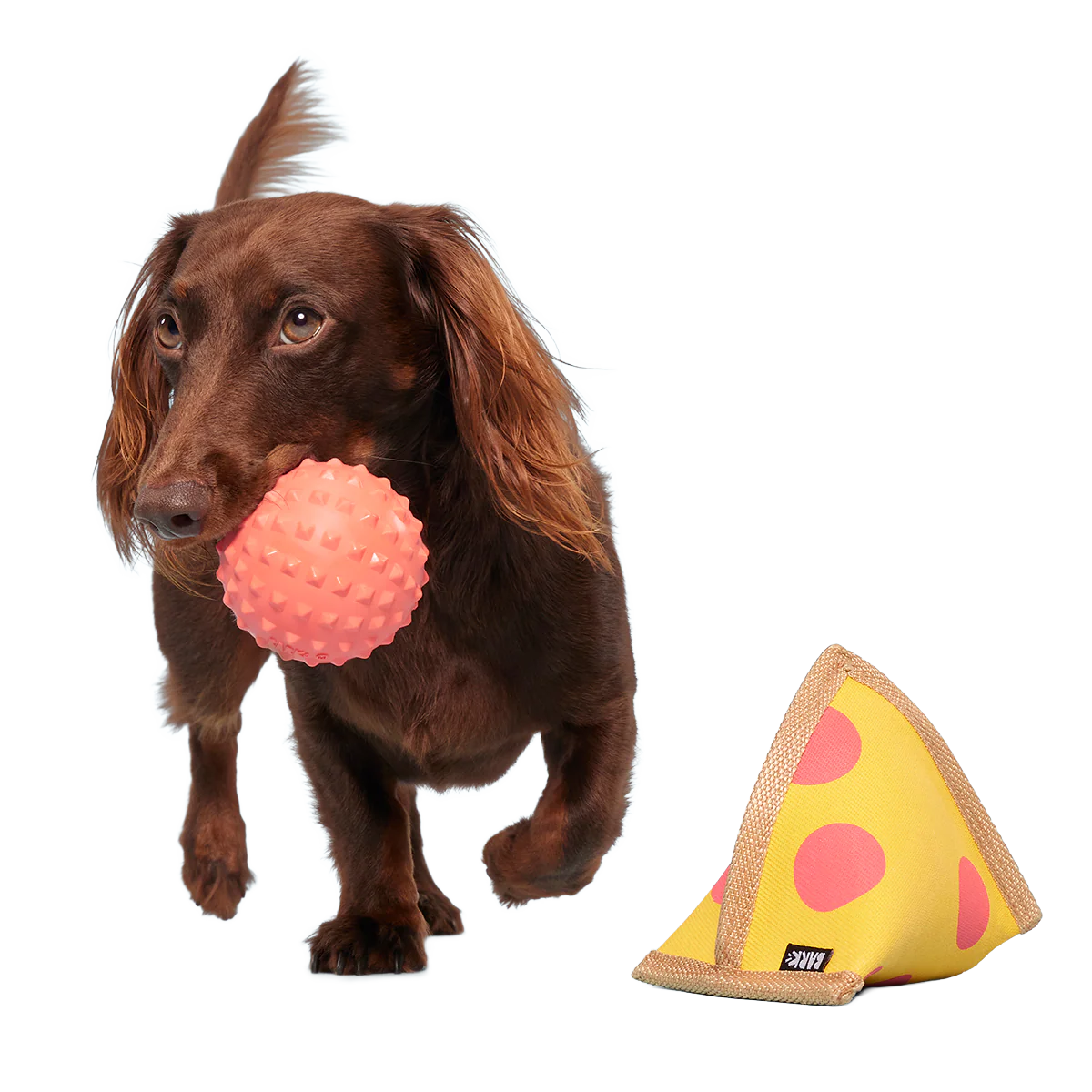 Lil Squeaker's Pizza Super Chewer Durable 2-in-1 Fetch Dog Toy - Image 4