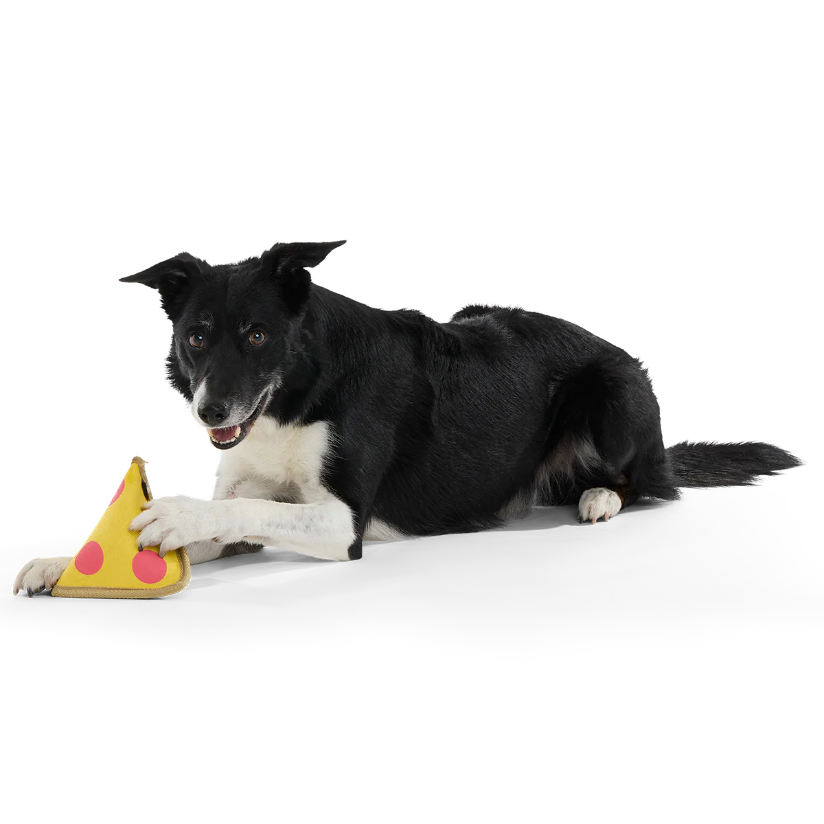 Lil Squeaker's Pizza Super Chewer Durable 2-in-1 Fetch Dog Toy - Image 5