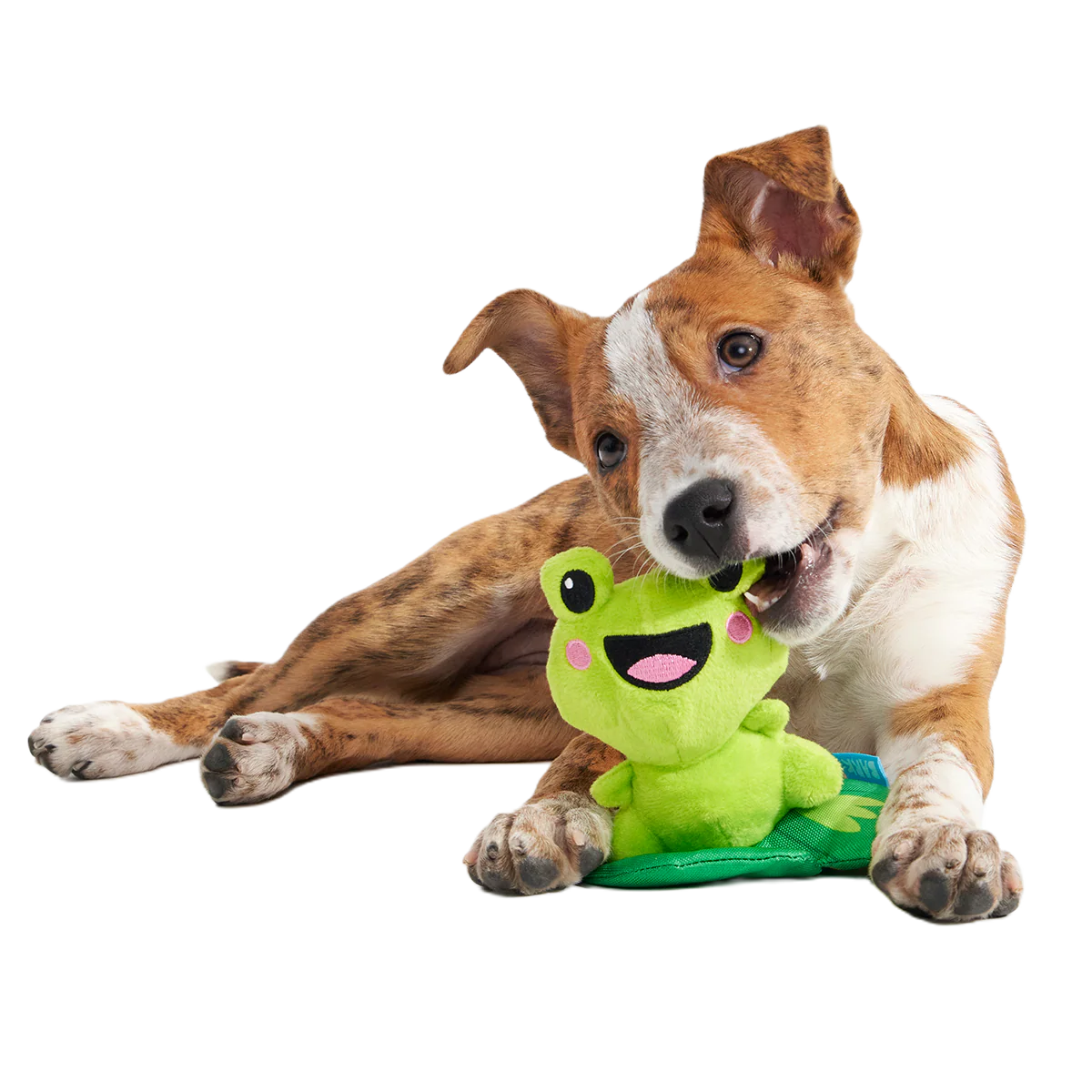 Lily Pal Plush Tug Dog Toy - Image 2