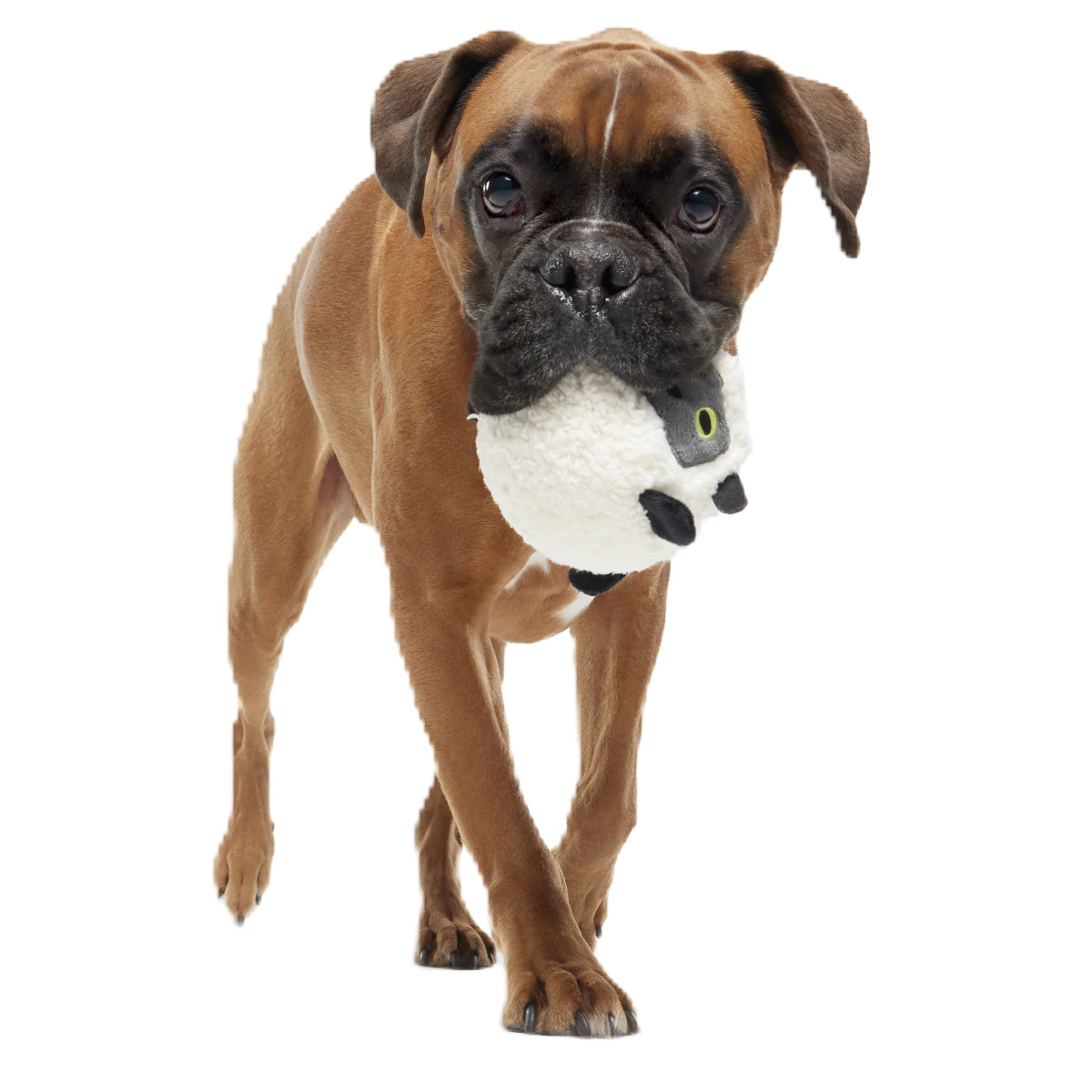 Little Bo Pup Super Chewer Durable Fetch + 2-in-1 Dog Toy - Image 2