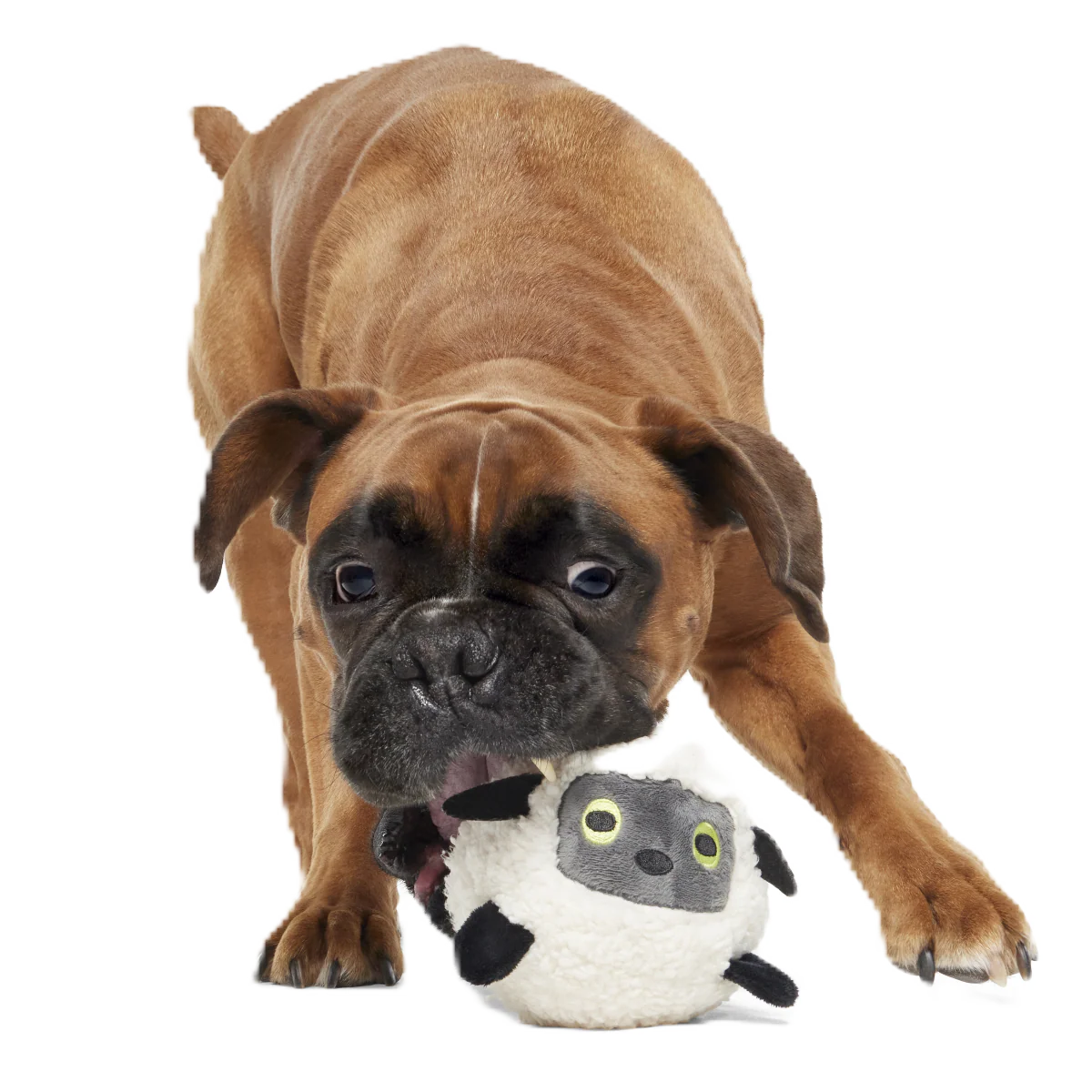 Little Bo Pup Super Chewer Durable Fetch + 2-in-1 Dog Toy - Image 3