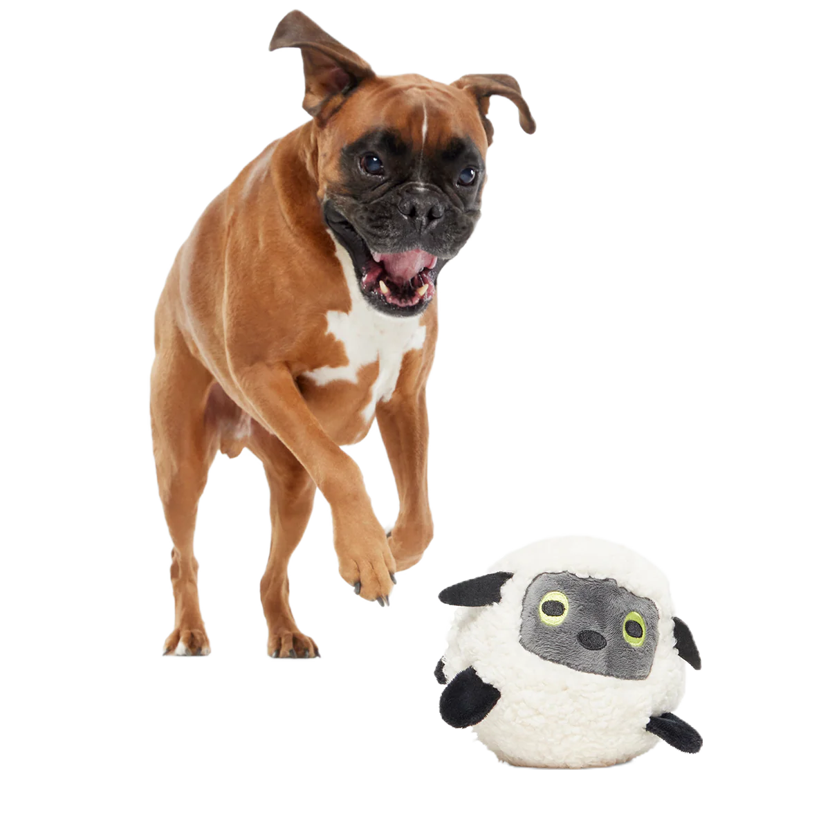 Little Bo Pup Super Chewer Durable Fetch + 2-in-1 Dog Toy - Image 4