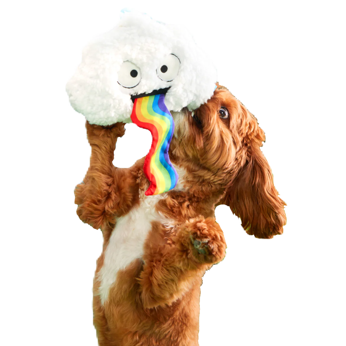 Loud and Proud Cloud Plush Tug Dog Toy - Image 2