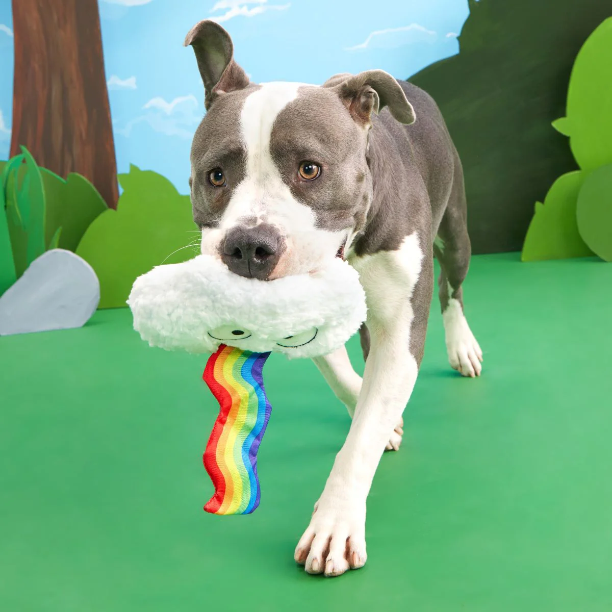 Loud and Proud Cloud Plush Tug Dog Toy - Image 3