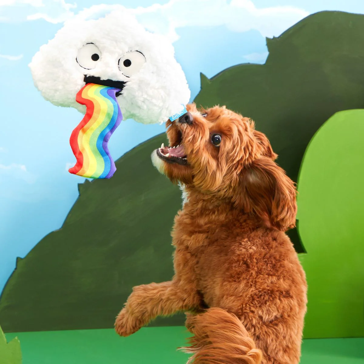 Loud and Proud Cloud Plush Tug Dog Toy - Image 4