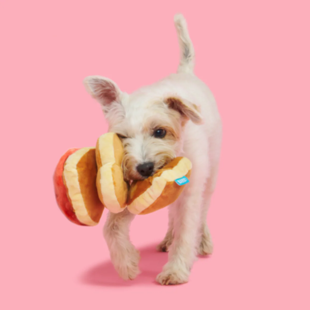 Love Stack Plush Tug Dog Toy - Image 3