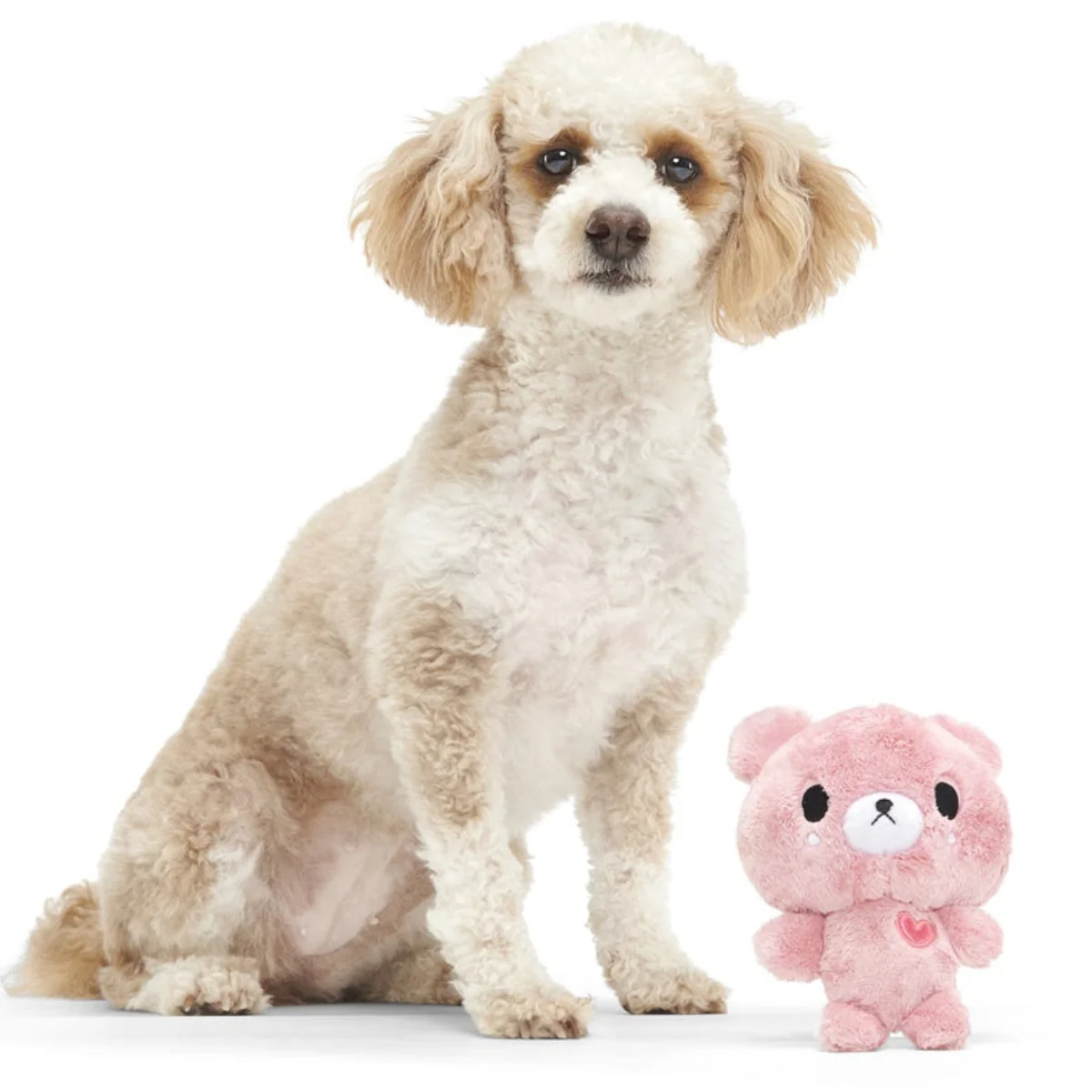 Lover Bear Plush Dog Toy - Image 2