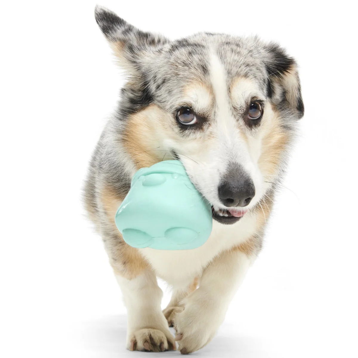 Lover Beast Super Chewer Durable 2-in-1 Rip and Reveal Dog Toy - Image 2