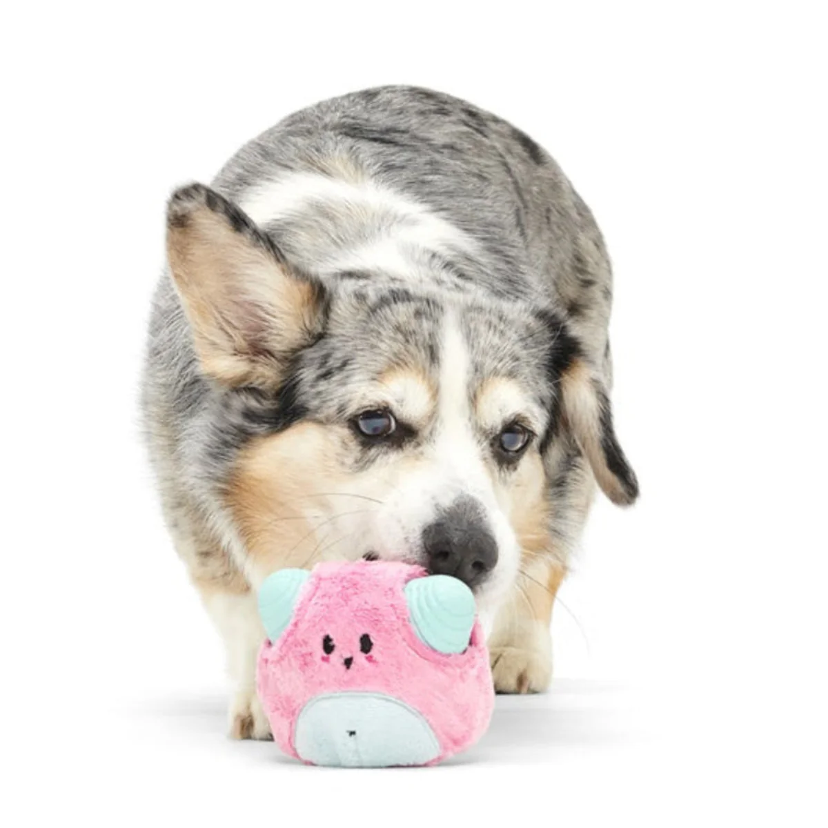 Lover Beast Super Chewer Durable 2-in-1 Rip and Reveal Dog Toy - Image 3