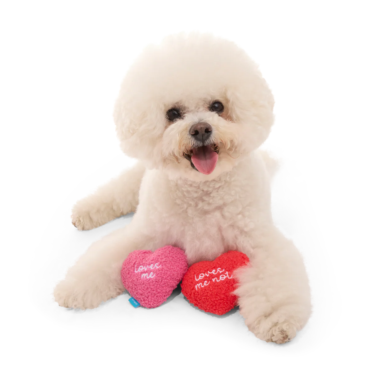 Love Me, Love Me Nots Plush Multi-Part Dog Toy - Image 2