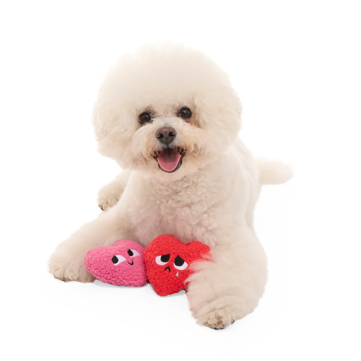 Love Me, Love Me Nots Plush Multi-Part Dog Toy - Image 5