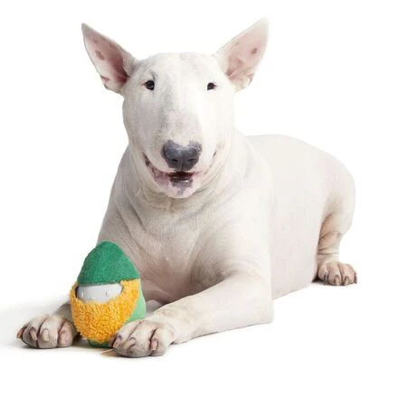 Lucky Larry Leprechaun Super Chewer Durable 2-in-1 Dog Toy - Image 8