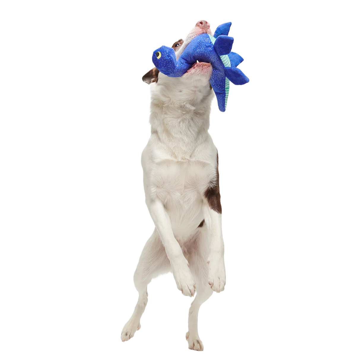 Luke Ness Monster Plush Tug Dog Toy - Image 2