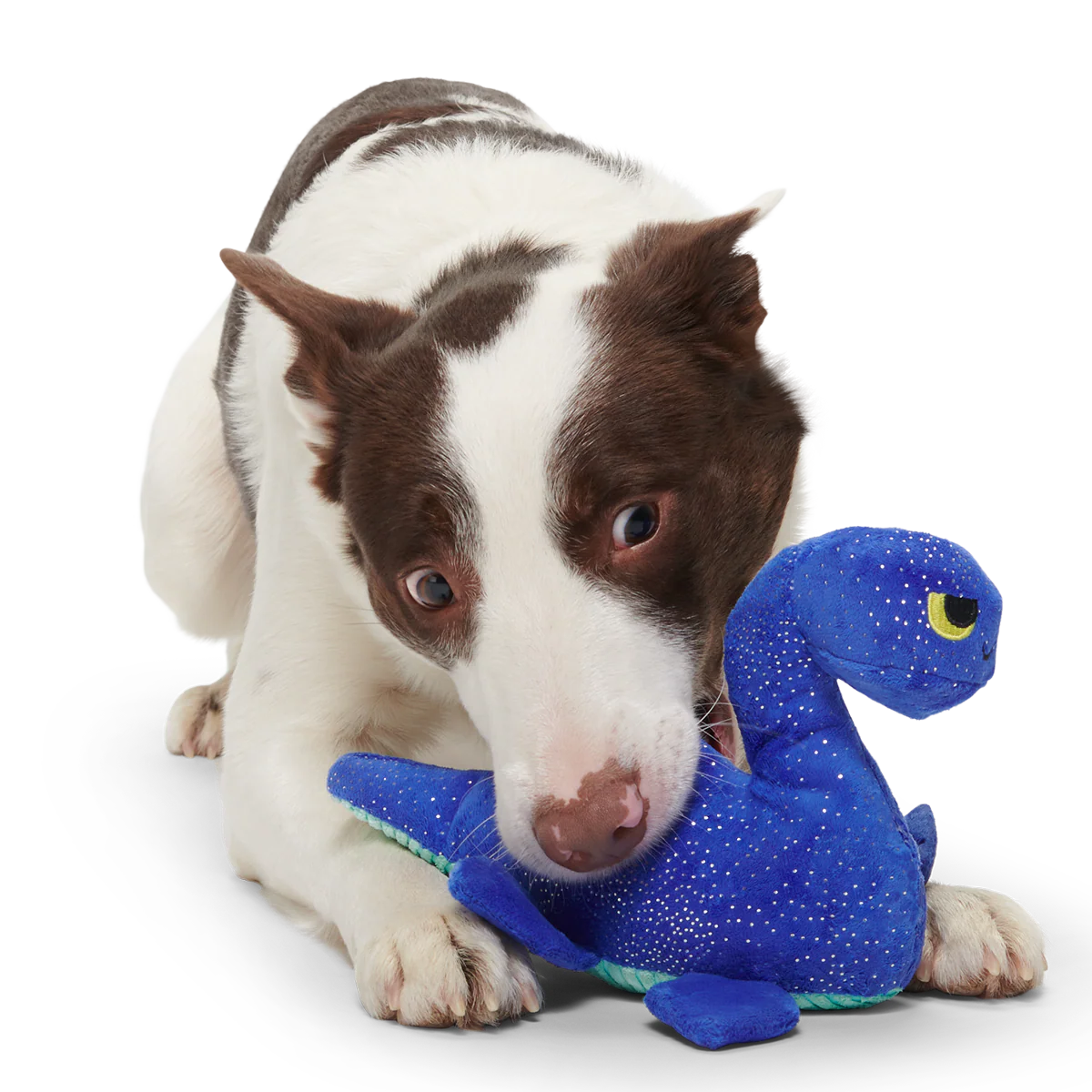 Luke Ness Monster Plush Tug Dog Toy - Image 3